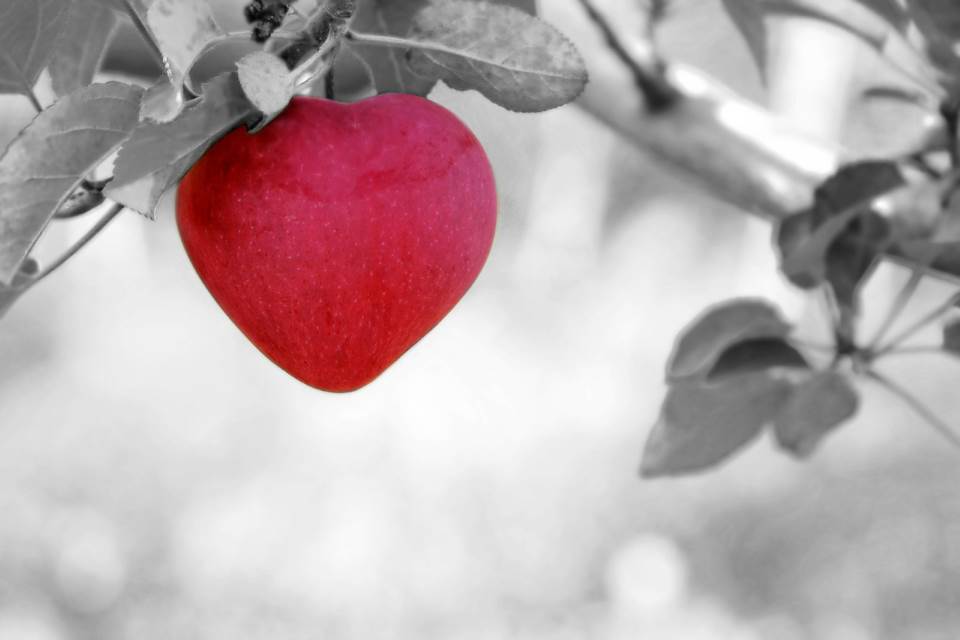 היו “ראש גדול”. תפוח| צילום: pixabay.com
