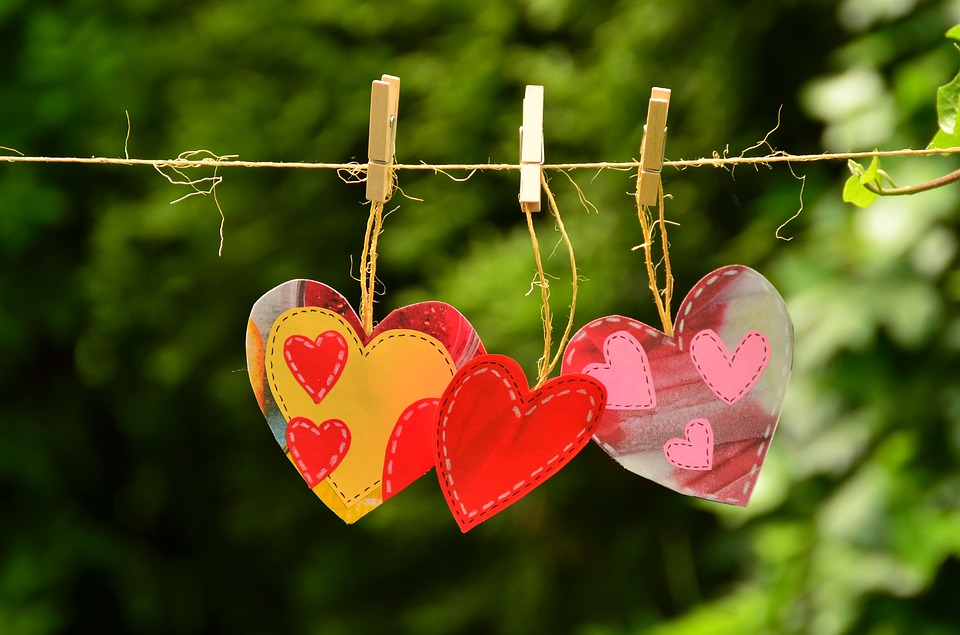אהבה שאינה תלויה בדבר | צילום pixabay